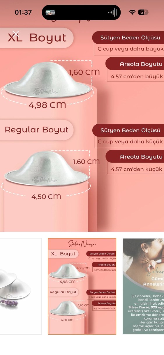 Silver Nurse Gümüş Kapak - Görsel 3