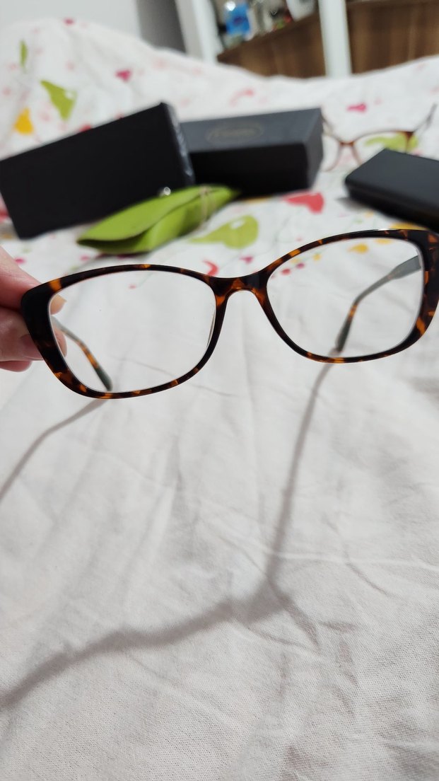 Bilge Karga Gözlük - Görsel 3