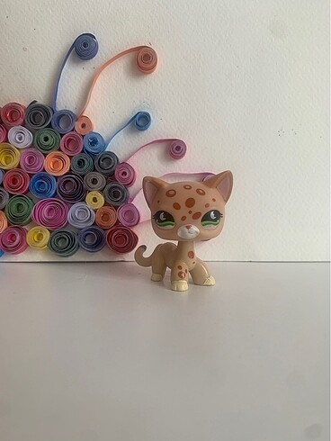 Lps kedi