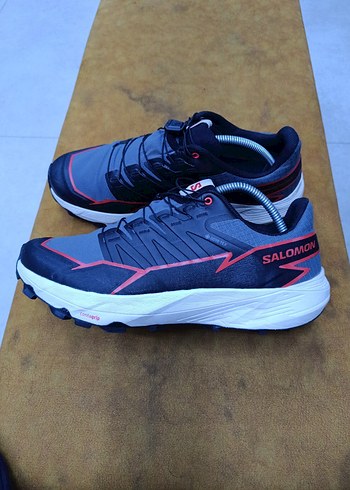 Salomon 44
