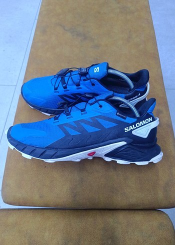 Salomon 43