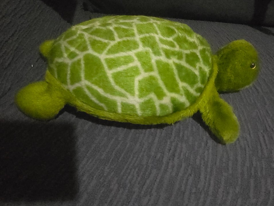 oyuncak peluş kaplumbağa - Görsel 3