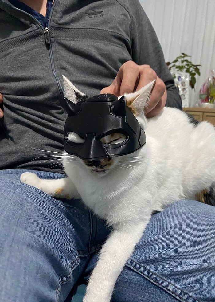 Kedi Maskesi - Görsel 2