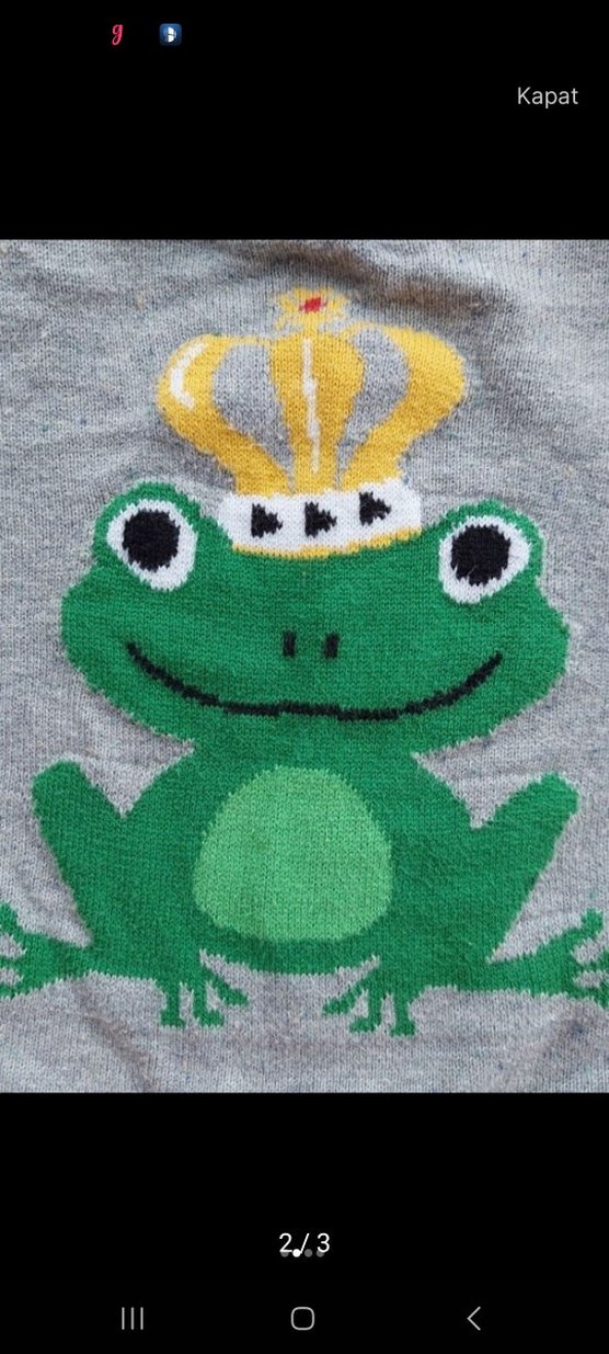 Gri Erkek Çocuk Triko Kazak Kurbağa Desenli - Görsel 2