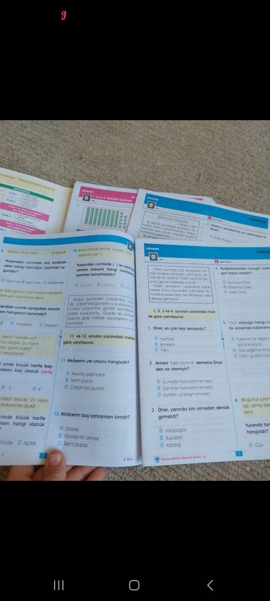 2. Sınıf Deneme Kitabı 30'lu Çarşaf Çarşaf - Görsel 4