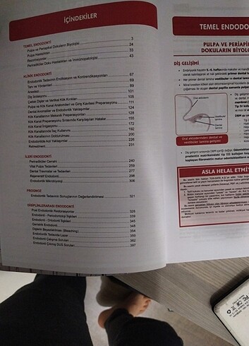 DUSDATA ENDODONTİ ŞAMPİYONLAR NOTU SIFIR