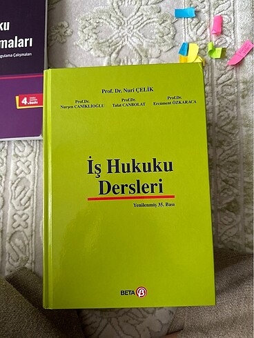 Nuri Çelik iş hukuku