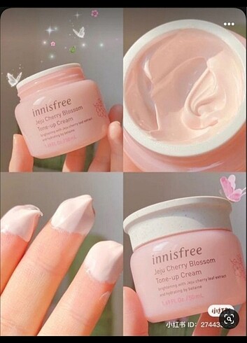 İnnisfree tone up cream