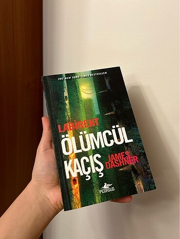 Labirent Ölümcül Kaçış