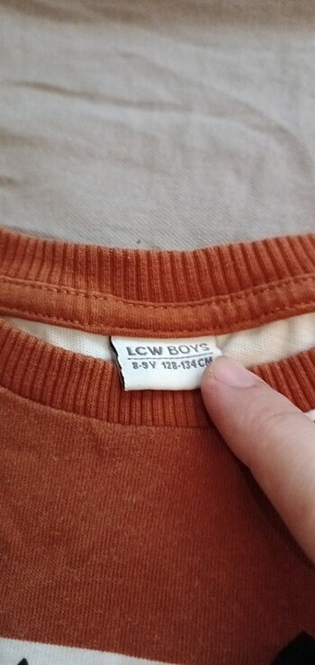 Sweatshirt 