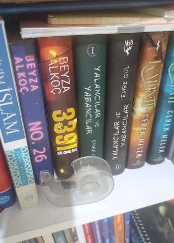 Beden Renk kitap