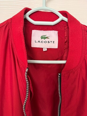 Lacoste Erkek ince mont