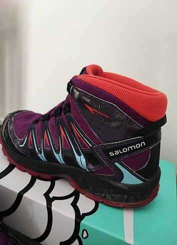 Salomon bot