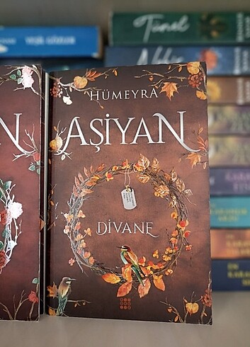  Beden Aşiyan Virane Ve Divane 