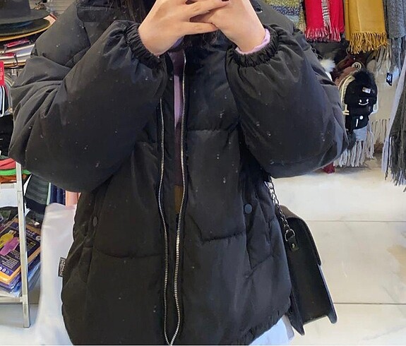mont pull and bear