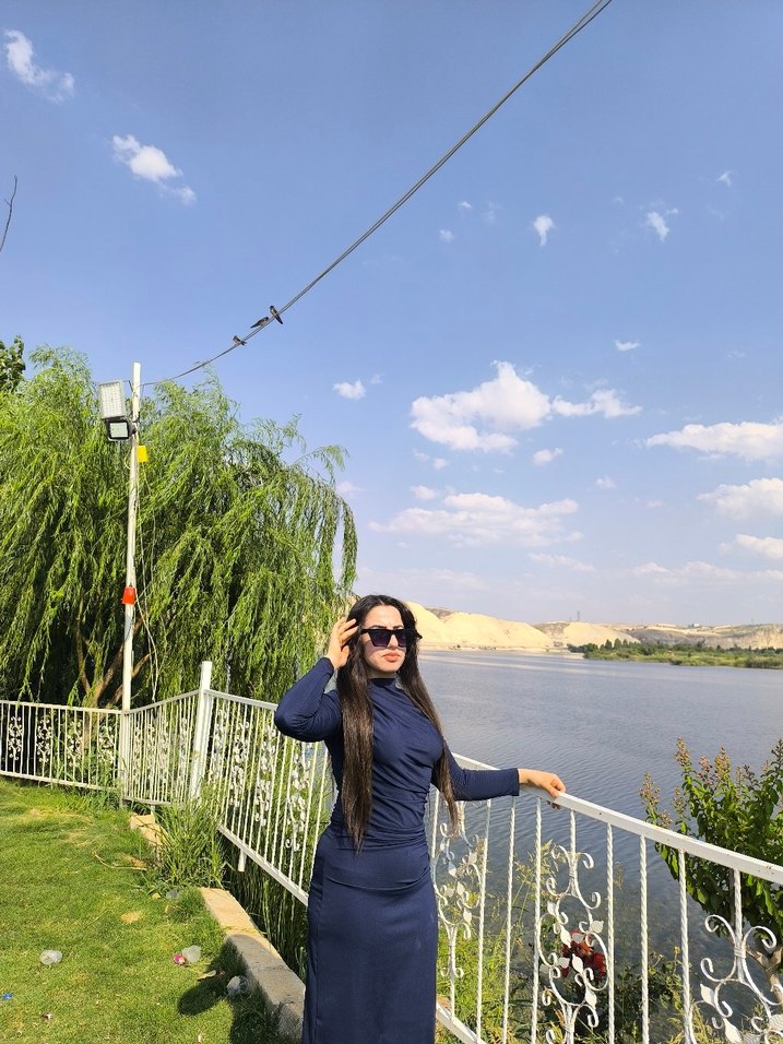 Lacivert Yüksek Yakalı Uzun Kadın Elbise - Görsel 2