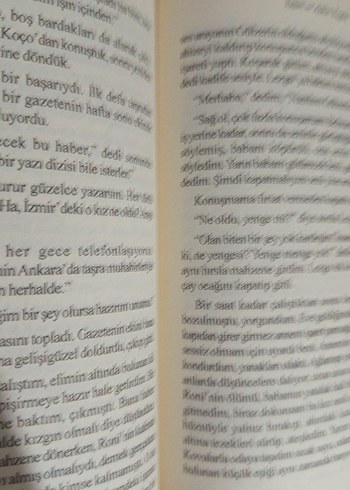 Taşın ve aşkın ezgisi RIFAT MERTOĞLU - Görsel 3