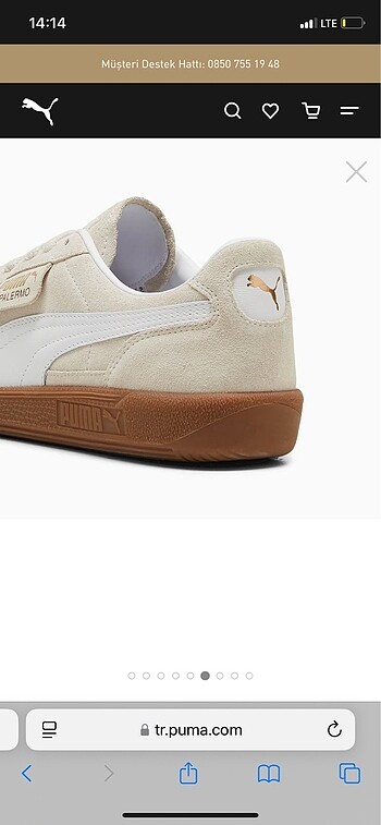 38,5 Beden Puma palermo