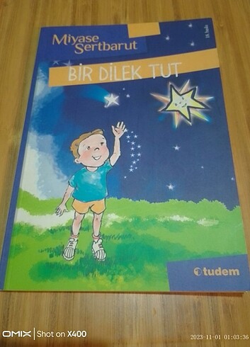 Bir dilek tut 