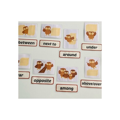 Beden Renk Prepositions flashcards