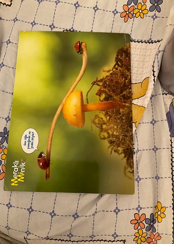 Meraklı Minik Çocuk Bilim Dergisi - Ölçüm Yapmak - Görsel 2