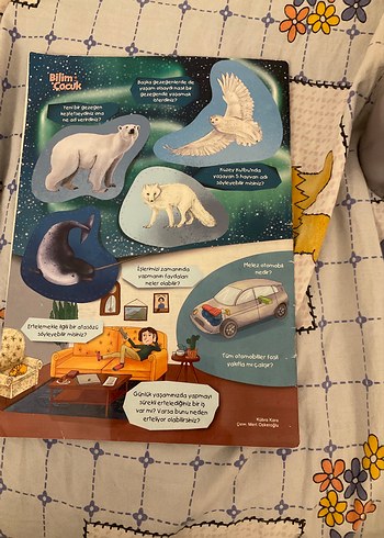 Bilim Çocuk Dergisi - Popüler Bilim - Görsel 2