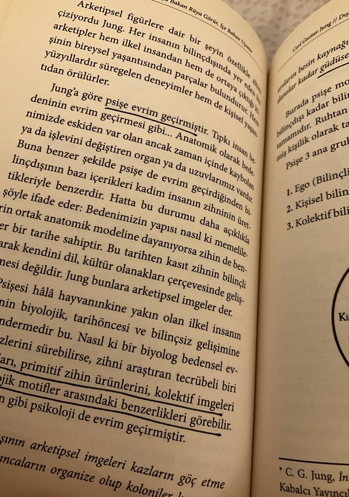 Dışa Bakan Rüya Görür, İçe Bakan Uyanır - Carl Gustav Jung - Görsel 3