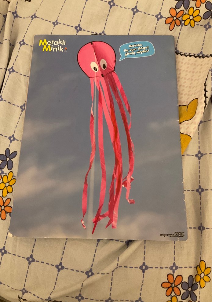 Meraklı Minik Ahtapotlar Çocuk Kitabı - Görsel 2