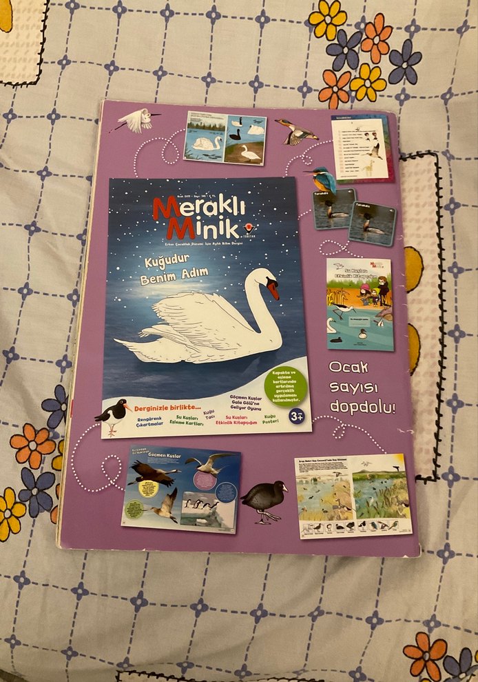 Bilim Çocuk Dergisi - Beynin Bölümleri - Görsel 2