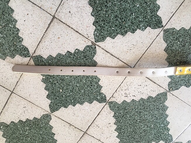  Köpek tasması