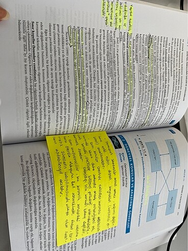 Beden Psikoloji Kitap