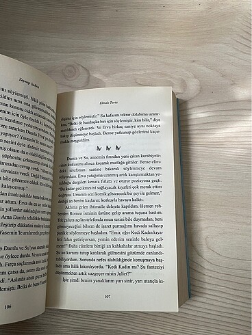  Beden Elmalı Turta