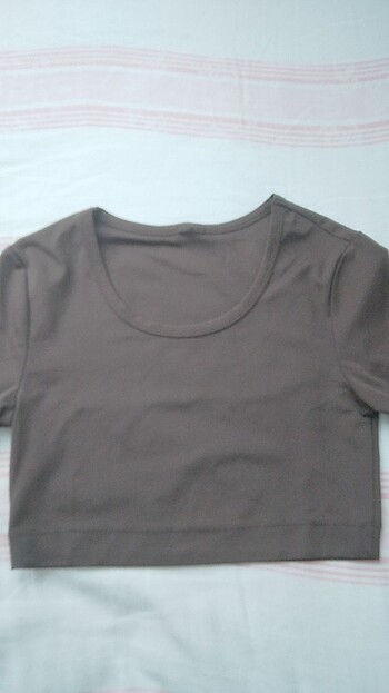 Kisa kollu crop