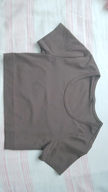Armalife Kisa kollu crop