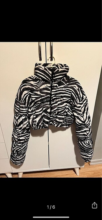 Zebra Crop Mont