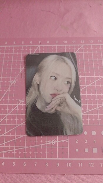 Rose born Pink pc