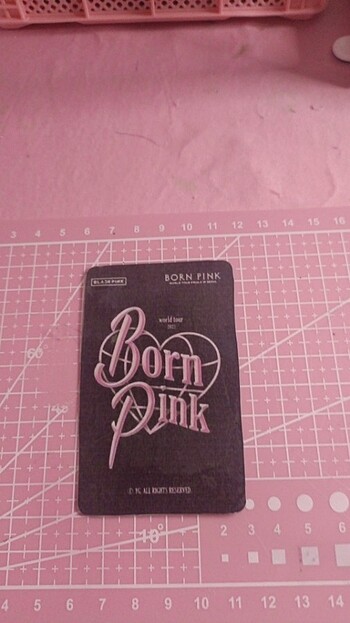 Rose born Pink pc