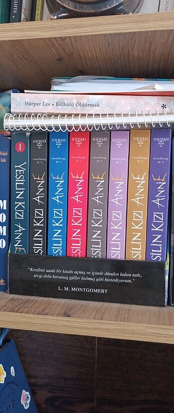 Yeşilin kızı (GELİRİ İHTİYAÇ SAHİBİNE VERİLECEKTİR.) - Görsel 3