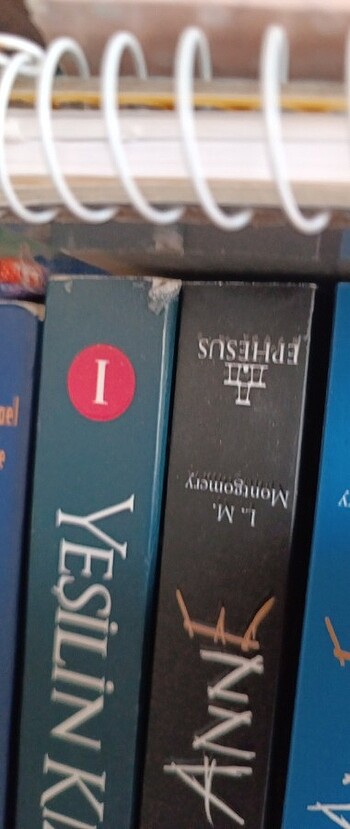 Yeşilin kızı (GELİRİ İHTİYAÇ SAHİBİNE VERİLECEKTİR.) - Görsel 4