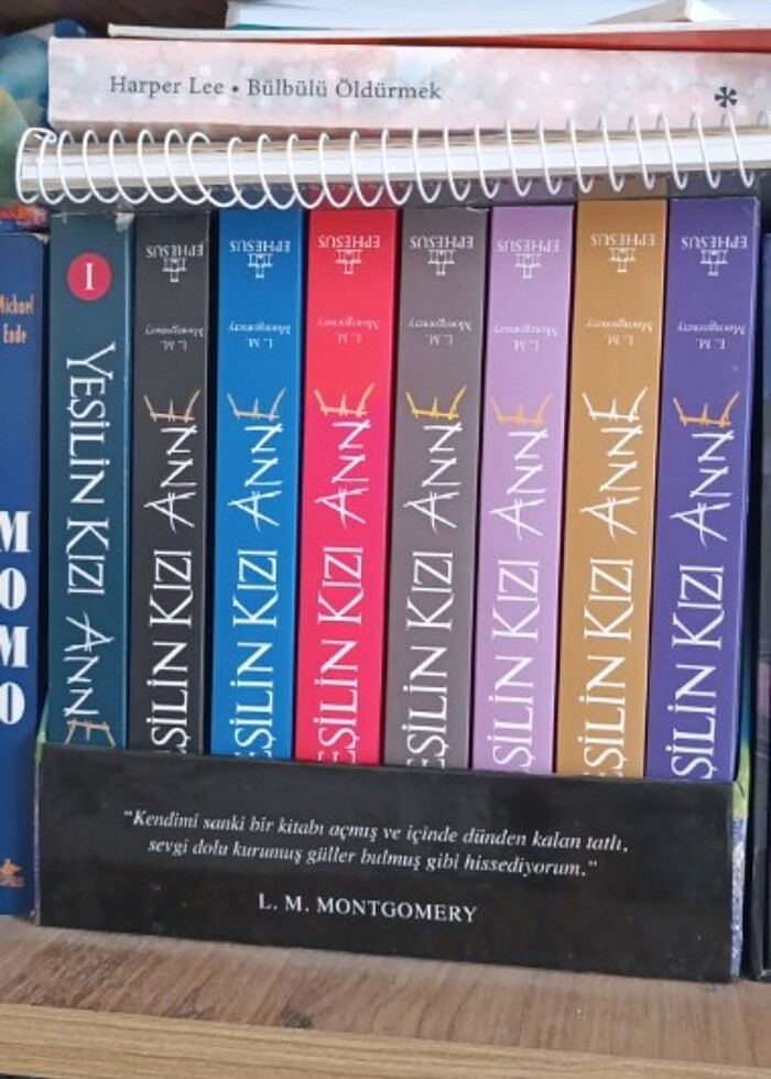 Yeşilin kızı (GELİRİ İHTİYAÇ SAHİBİNE VERİLECEKTİR.) - Görsel 3