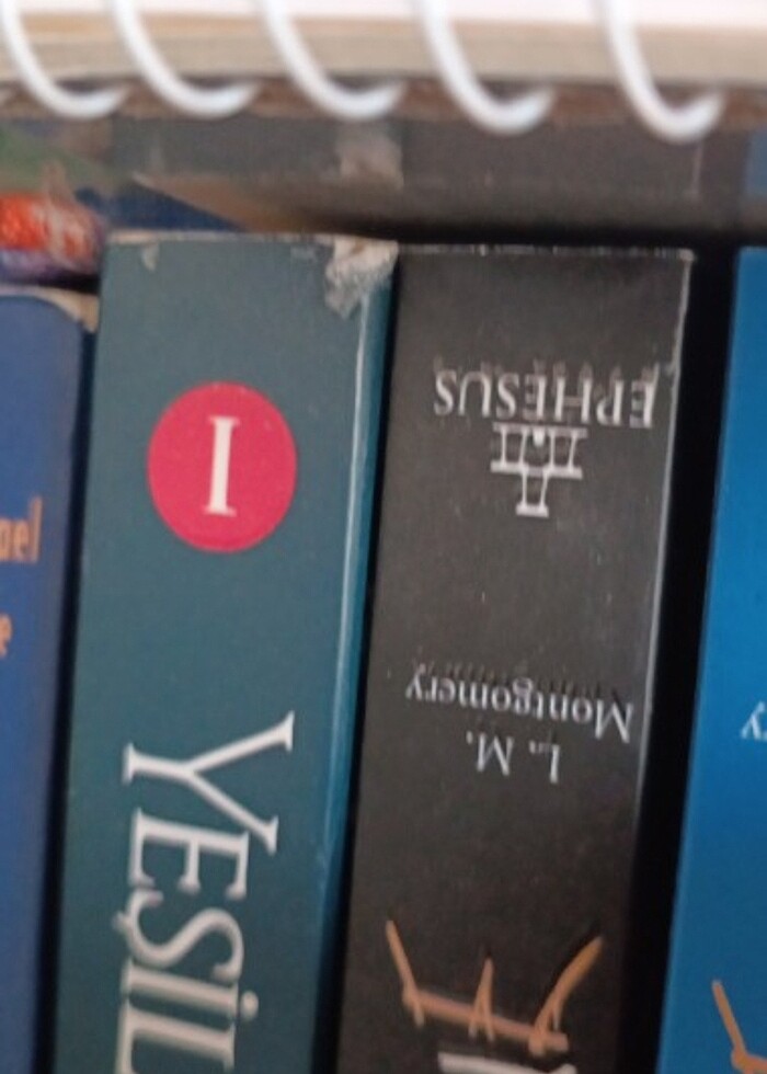 Yeşilin kızı (GELİRİ İHTİYAÇ SAHİBİNE VERİLECEKTİR.) - Görsel 4