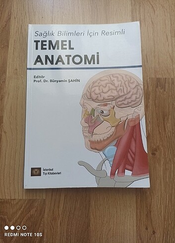 Temel Anatomi