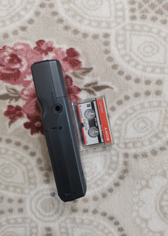 Sunny ses kayit  - Görsel 3