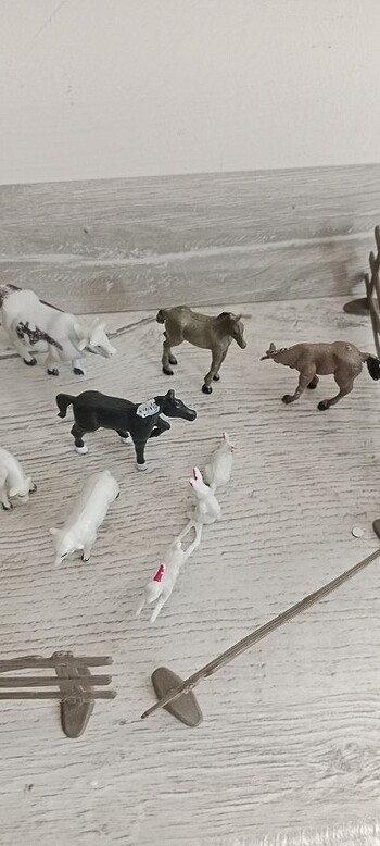 Beden Renk Hayvan çiftliği