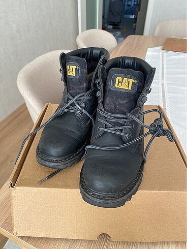 Cat 37