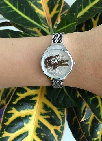 Beden LACOSTE BAYAN KOL SAATİ