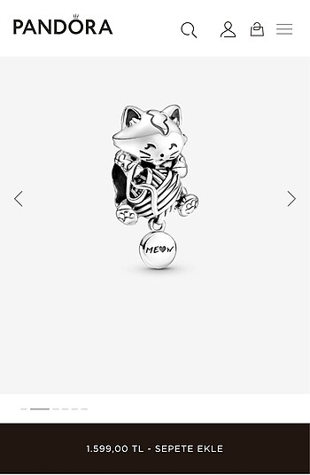  Beden gri Renk Pandora Charm