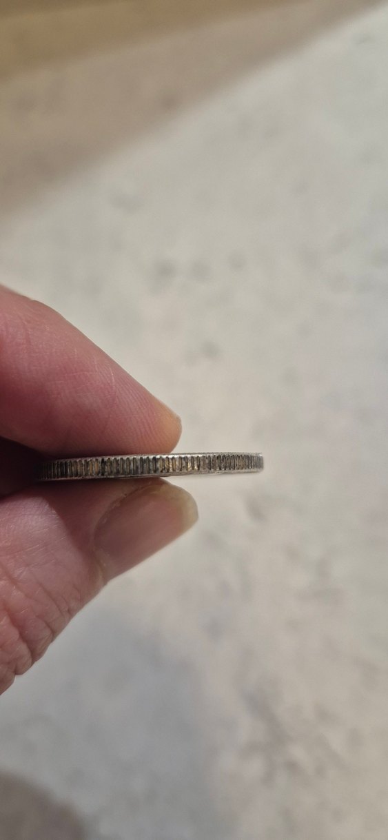 1934 100 Kurus Madeni Para Replika - Görsel 4