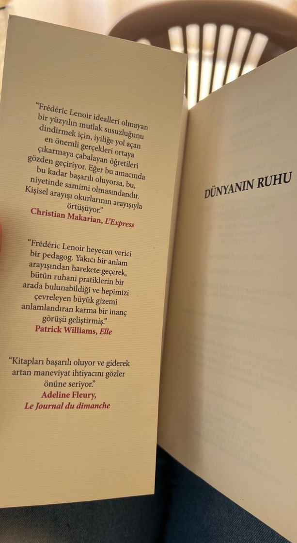 Dünyanın Ruhu - Frédéric Lenoir - Görsel 2