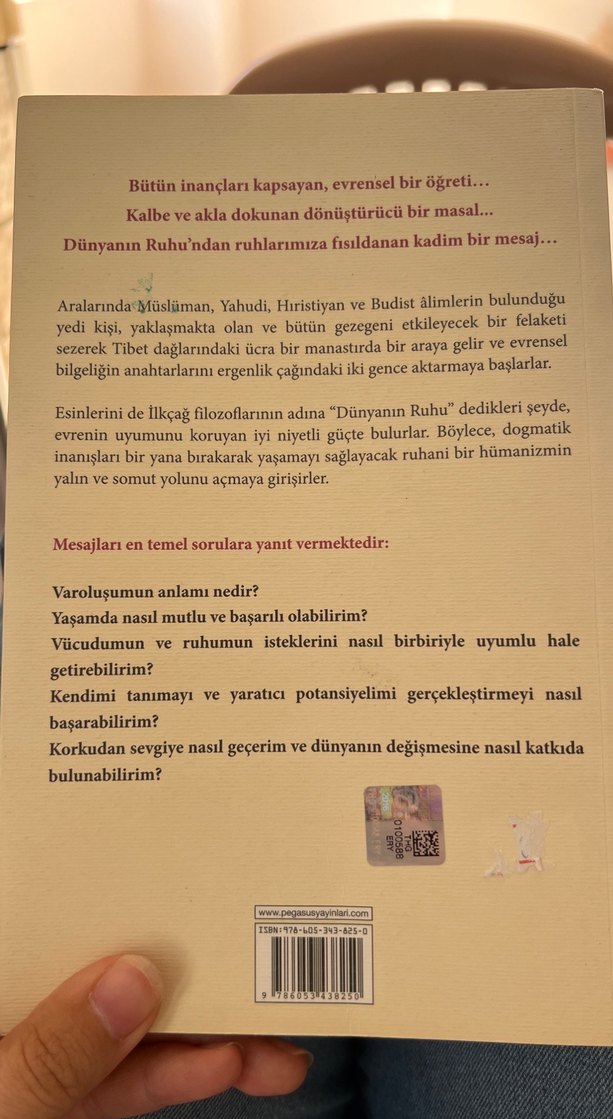 Dünyanın Ruhu - Frédéric Lenoir - Görsel 3